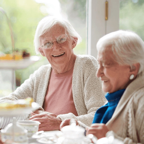 DOLPEDIA: enterale Wissensplattform DOLPEDIA: enterale Wissensplattform